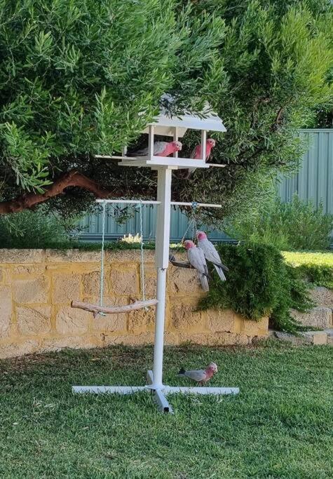Shabby Chic Shack - 2 Bedroom Beach Cottage Yanchep Dış mekan fotoğraf